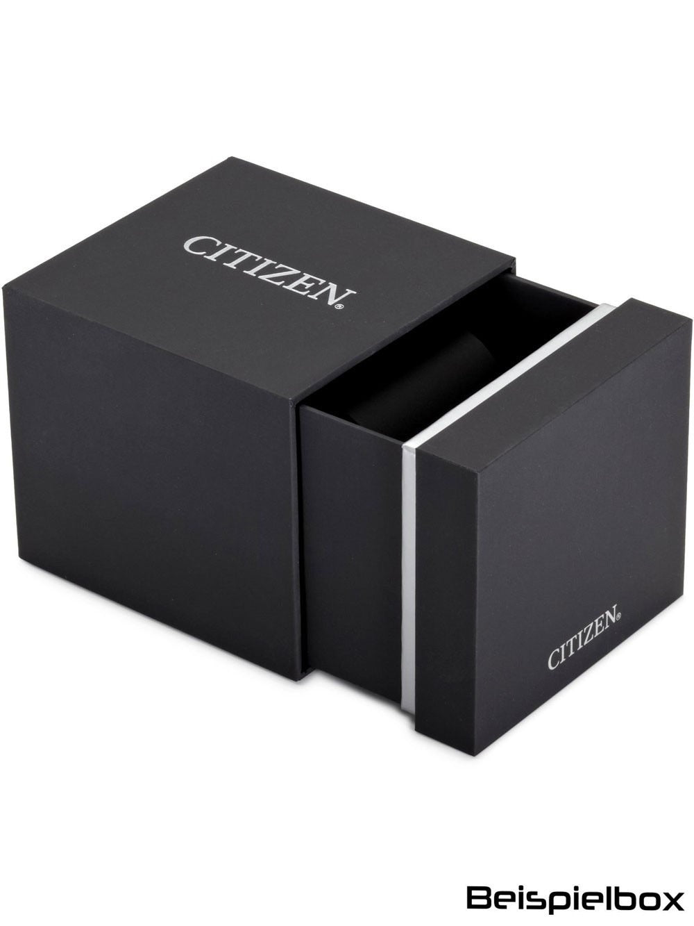 CITIZEN Mod. EM1140-80X